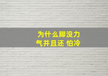 为什么脚没力气并且还 怕冷